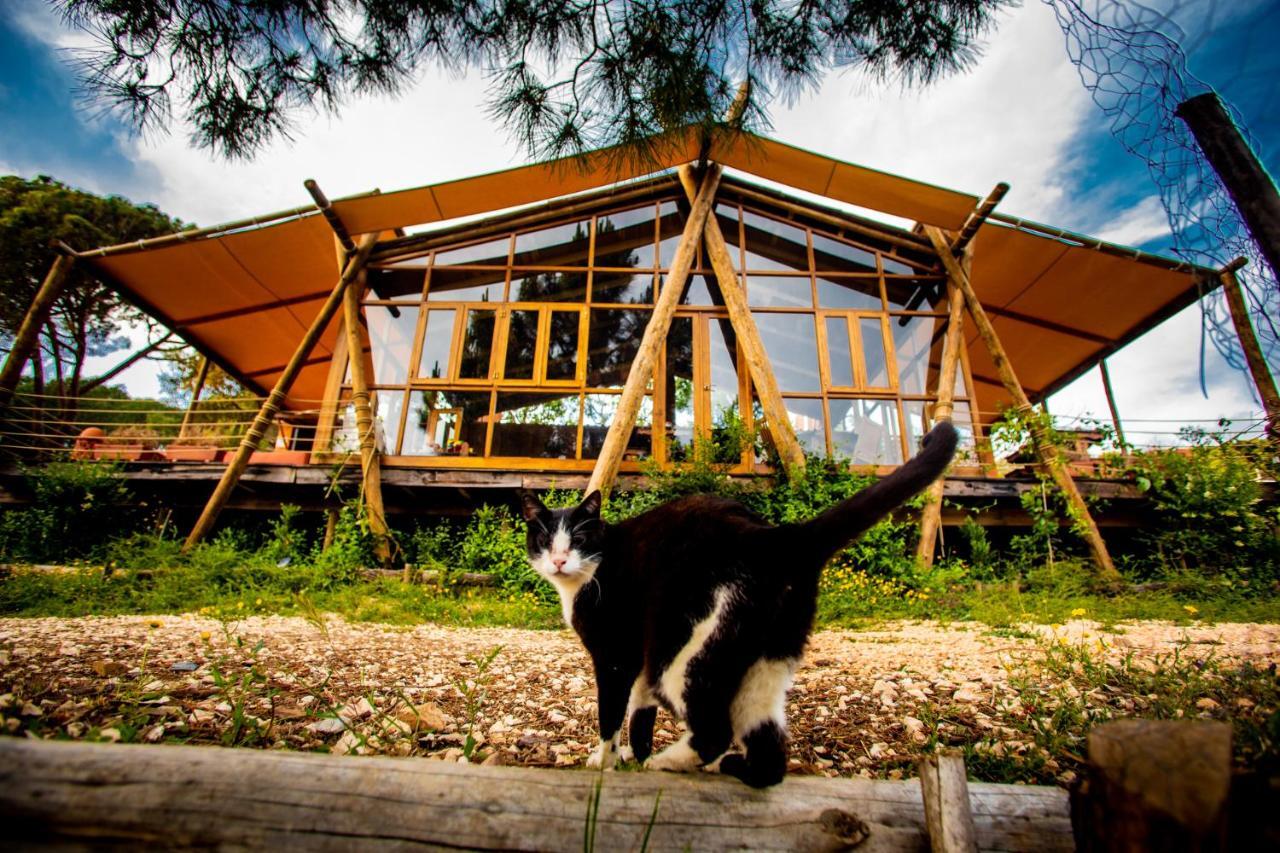 Quinta Alma - Ecological Retreat Farm Ξενοδοχείο Aljezur Εξωτερικό φωτογραφία